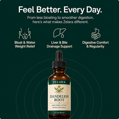 Dandelion Root Extract
